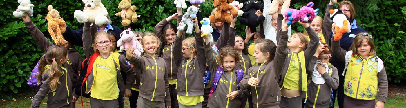 brownies girlguiding hampshire east - descriptive image